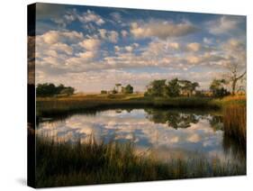 Chimney Creek Reflections, Tybee Island, Savannah, Georgia-Joanne Wells-Stretched Canvas