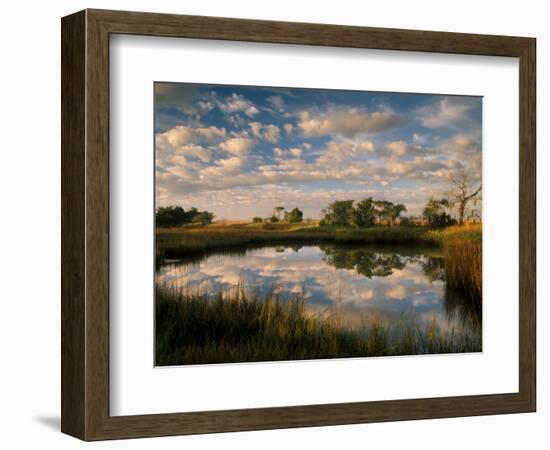 Chimney Creek Reflections, Tybee Island, Savannah, Georgia-Joanne Wells-Framed Photographic Print