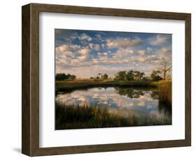 Chimney Creek Reflections, Tybee Island, Savannah, Georgia-Joanne Wells-Framed Photographic Print