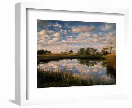 Chimney Creek Reflections, Tybee Island, Savannah, Georgia-Joanne Wells-Framed Photographic Print