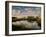 Chimney Creek Reflections, Tybee Island, Savannah, Georgia-Joanne Wells-Framed Photographic Print