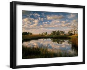 Chimney Creek Reflections, Tybee Island, Savannah, Georgia-Joanne Wells-Framed Photographic Print