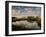 Chimney Creek Reflections, Tybee Island, Savannah, Georgia-Joanne Wells-Framed Photographic Print