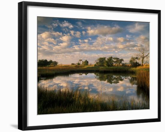 Chimney Creek Reflections, Tybee Island, Savannah, Georgia-Joanne Wells-Framed Photographic Print