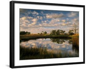Chimney Creek Reflections, Tybee Island, Savannah, Georgia-Joanne Wells-Framed Photographic Print
