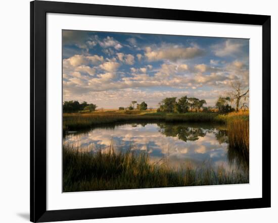 Chimney Creek Reflections, Tybee Island, Savannah, Georgia-Joanne Wells-Framed Photographic Print