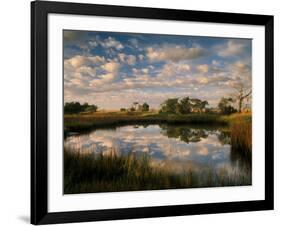 Chimney Creek Reflections, Tybee Island, Savannah, Georgia-Joanne Wells-Framed Photographic Print