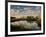 Chimney Creek Reflections, Tybee Island, Savannah, Georgia-Joanne Wells-Framed Photographic Print