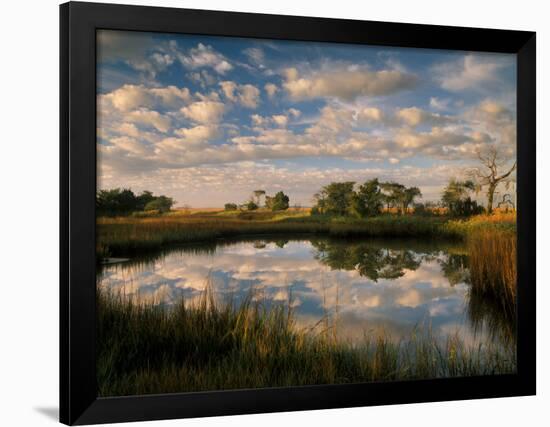 Chimney Creek Reflections, Tybee Island, Savannah, Georgia-Joanne Wells-Framed Photographic Print