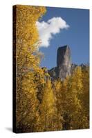 Chimney Peak and Courthouse Mountains in the Uncompahgre National Forest, Colorado-Joseph Sohm-Stretched Canvas