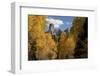 Chimney Peak and Courthouse Mountains in the Uncompahgre National Forest, Colorado-Joseph Sohm-Framed Premium Photographic Print