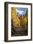 Chimney Peak and Courthouse Mountains in the Uncompahgre National Forest, Colorado-Joseph Sohm-Framed Photographic Print