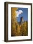 Chimney Peak and Courthouse Mountains in the Uncompahgre National Forest, Colorado-Joseph Sohm-Framed Photographic Print