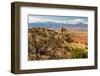 Chimney Rock, New Mexico-Carbonbrain-Framed Photographic Print