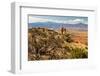 Chimney Rock, New Mexico-Carbonbrain-Framed Photographic Print