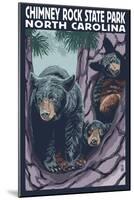 Chimney Rock State Park, NC - Bear and Cubs-Lantern Press-Mounted Art Print