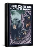 Chimney Rock State Park, NC - Bear and Cubs-Lantern Press-Framed Stretched Canvas