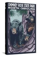 Chimney Rock State Park, NC - Bear and Cubs-Lantern Press-Stretched Canvas