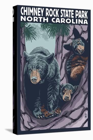 Chimney Rock State Park, NC - Bear and Cubs-Lantern Press-Stretched Canvas