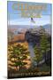 Chimney Rock State Park, NC - View from Top-Lantern Press-Mounted Art Print