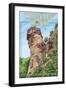 Chimney Rock State Park, North Carolina-Lantern Press-Framed Art Print