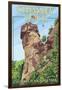 Chimney Rock State Park, North Carolina-Lantern Press-Framed Art Print