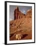 Chimney Rock With Storm Clouds, Capitol Reef National Park, Utah, USA-null-Framed Photographic Print