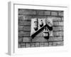 Chimney Sweep Carving-null-Framed Photographic Print