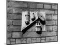 Wood Mount