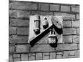 Wood Mount