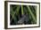 Chimney Sweeper on Blade of Grass-Harald Kroiss-Framed Photographic Print