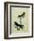 Chimney Swift and Sand Martin-Georges-Louis Buffon-Framed Giclee Print