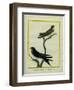 Chimney Swift and Sand Martin-Georges-Louis Buffon-Framed Giclee Print