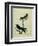 Chimney Swift and Sand Martin-Georges-Louis Buffon-Framed Giclee Print