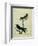 Chimney Swift and Sand Martin-Georges-Louis Buffon-Framed Giclee Print