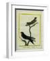 Chimney Swift and Sand Martin-Georges-Louis Buffon-Framed Giclee Print