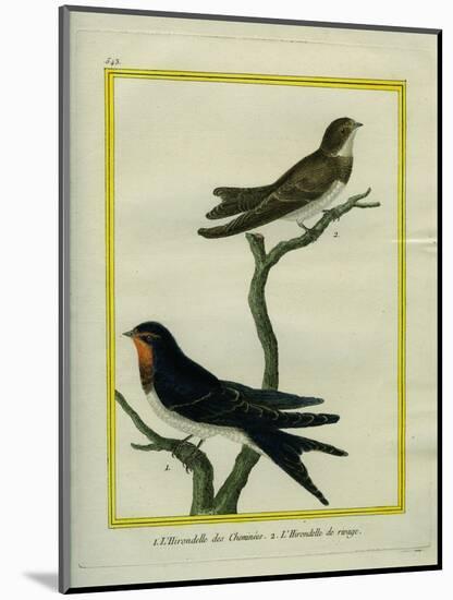 Chimney Swift and Sand Martin-Georges-Louis Buffon-Mounted Giclee Print