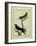 Chimney Swift and Sand Martin-Georges-Louis Buffon-Framed Giclee Print