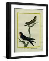 Chimney Swift and Sand Martin-Georges-Louis Buffon-Framed Giclee Print