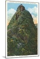 Chimney Top, Great Smoky Mountains-null-Mounted Art Print