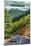 Chimney Tops and Road - Great Smoky Mountains National Park, TN-Lantern Press-Mounted Art Print