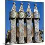 Chimneys of Batllo House-null-Mounted Giclee Print