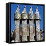 Chimneys of Batllo House-null-Framed Stretched Canvas