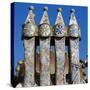 Chimneys of Batllo House-null-Stretched Canvas