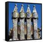 Chimneys of Batllo House-null-Framed Stretched Canvas