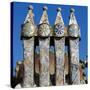 Chimneys of Batllo House-null-Stretched Canvas