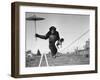 Chimp Balancing on Line with Umbrella and Puppy-null-Framed Premium Photographic Print