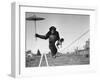 Chimp Balancing on Line with Umbrella and Puppy-null-Framed Photographic Print
