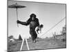 Chimp Balancing on Line with Umbrella and Puppy-null-Mounted Photographic Print