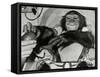 Chimp Ham After Mercury MR2 Flight-null-Framed Stretched Canvas